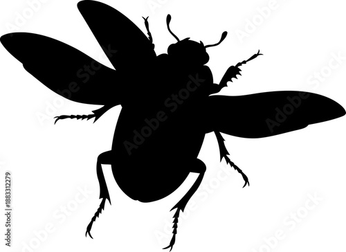 Flying beetle insect silhouette from above with open elytra and spread wings