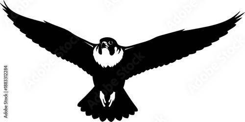 Flying falcon bird black silhouette with white outlines and wings spread in front view