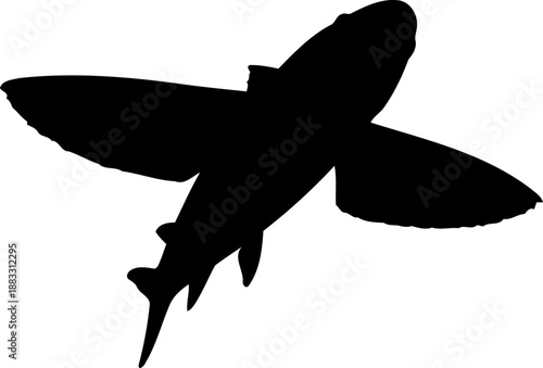 Flying fish black silhouette in a top down view with large pectoral fins