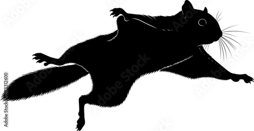Gliding flying squirrel mammal black silhouette in a top-down view with patagium membrane spread