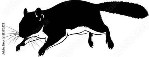 Leaping flying squirrel silhouette with extended limbs and long bushy tail in profile