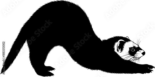 Playful ferret animal black silhouette performing a stretching pose with front paws extended forward