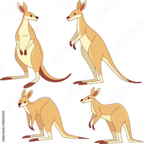 A collection of stylized illustrations depicting kangaroos in various poses. The kangaroos are rendered in warm, earthy tones of beige and brown, with subtle shading to define their musculature. One k