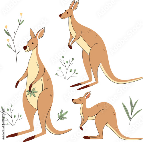 A collection of stylized illustrations depicting kangaroos in various poses. The kangaroos are rendered in warm, earthy tones of beige and brown, with subtle shading to define their musculature. One k