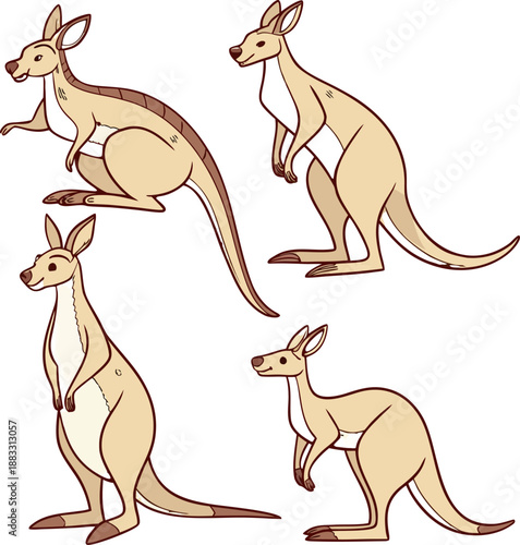 A collection of stylized illustrations depicting kangaroos in various poses. The kangaroos are rendered in warm, earthy tones of beige and brown, with subtle shading to define their musculature. One k