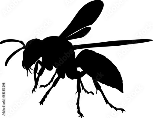 Profile silhouette of a stinging wasp insect with a narrow waist and pointed abdomen