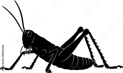 Profile silhouette of a standing grasshopper showing its folded wings and long antennae