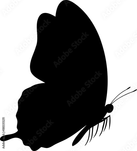 Resting butterfly insect silhouette in side profile with large wings folded and long antennae
