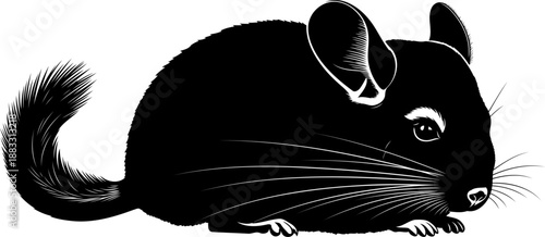 Resting chinchilla rodent black silhouette with white outlines and long whiskers in side profile