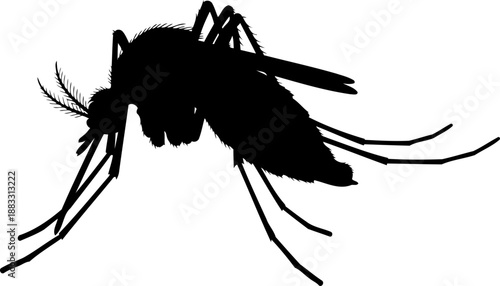 Resting mosquito insect black silhouette in side profile with long legs and proboscis