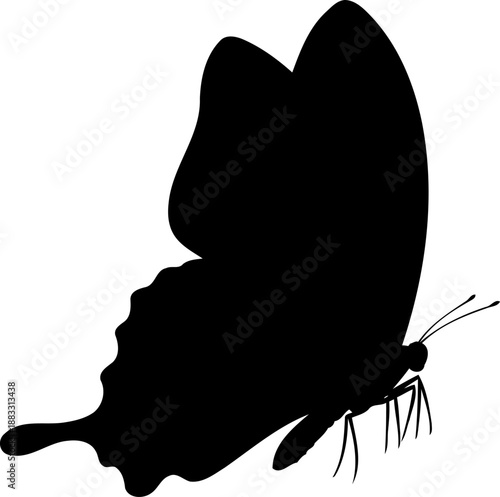 Side view of a butterfly insect black silhouette with wings held upright and visible legs