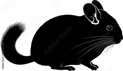 Side view chinchilla rodent silhouette with bushy tail and large ears in sitting pose
