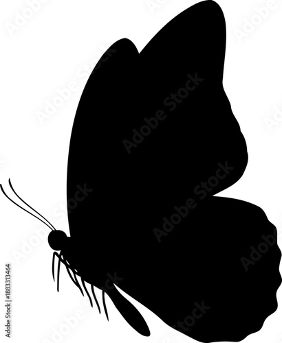 Side view silhouette of a butterfly with closed wings and delicate antennae