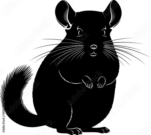 Sitting chinchilla rodent mammal black silhouette in front view with large ears and whiskers