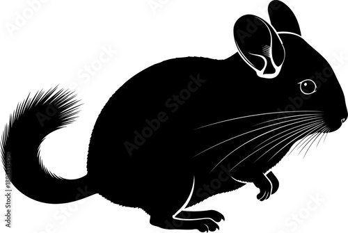 Sitting chinchilla rodent silhouette with large rounded ears and a curled bushy tail