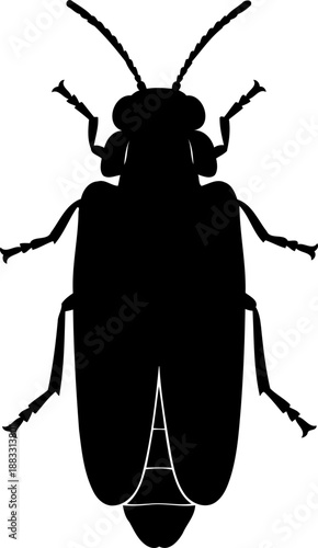 Top-down view of a firefly beetle black silhouette with segmented body and long antennae