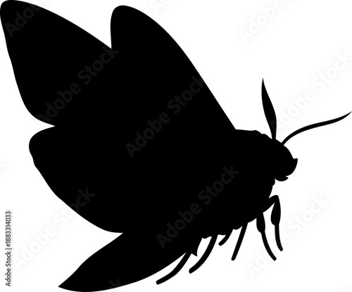 Angled moth insect black silhouette with thick body and large wings in a perspective view