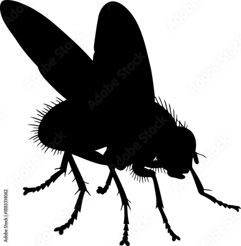 Angled view house fly silhouette vector illustration for environmental health studies