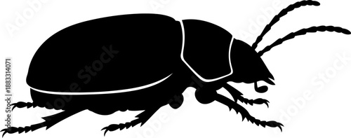 Beetle silhouette side view walking pose vector illustration