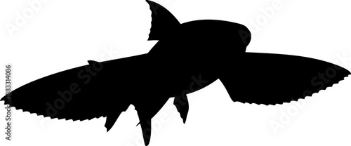 Bottom angled view flying fish silhouette leaping vector graphic