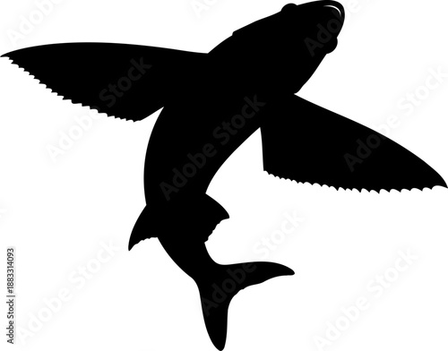 Bottom view flying fish silhouette leaping vector graphic