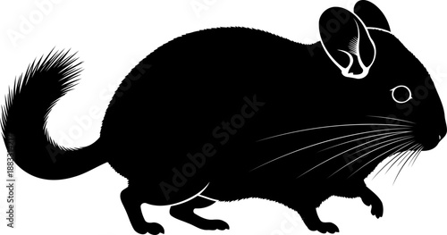 Chinchilla rodent silhouette side view vector illustration for pet and wildlife themes