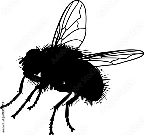 Common house fly silhouette side view vector illustration for sanitation services
