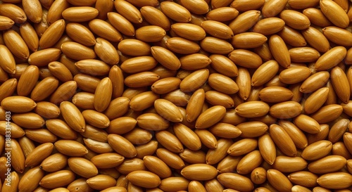 Abstract pattern created by densely packed golden kernels. A macro view emphasizing texture, repetition, and natural organic form ,golden ,seeds ,structure