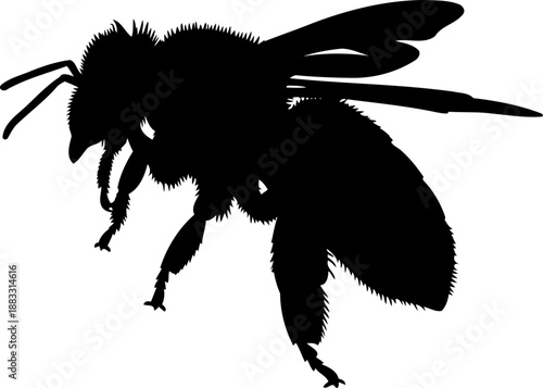 Flying honey bee silhouette side view vector illustration