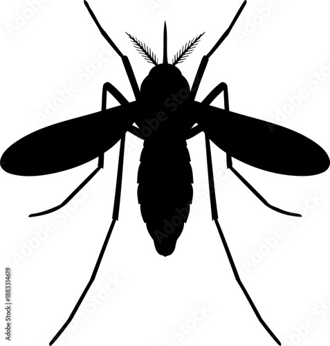 Flying mosquito silhouette top view vector illustration for insect flight pattern research