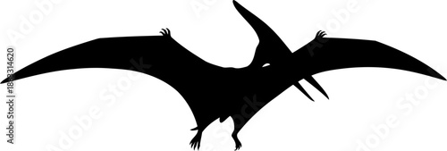 Flying pterodactyl silhouette side view vector art
