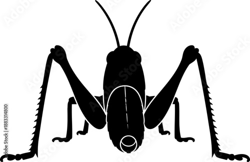 Frontal view grasshopper silhouette head-on vector graphic for macro photography concepts