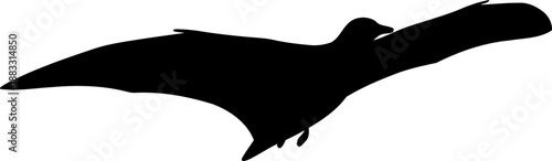 Gliding pterodactyl silhouette side profile vector art