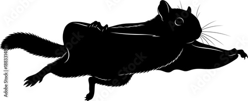 Gliding flying squirrel silhouette side view vector graphic