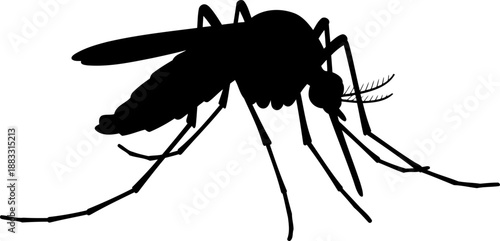 Mosquito silhouette with extended legs vector art for insect anatomy and biology studies