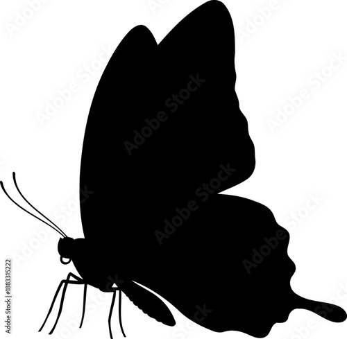 Perched butterfly silhouette side view with closed wings vector graphic for nature and garden themes