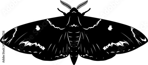 Moth silhouette top view wings spread vector art