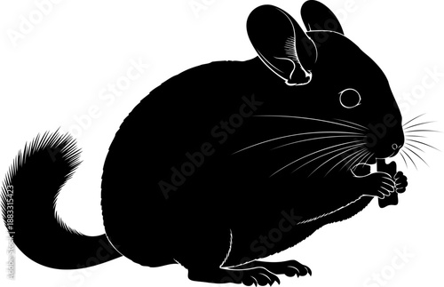 Side view chinchilla silhouette eating food vector art for animal products