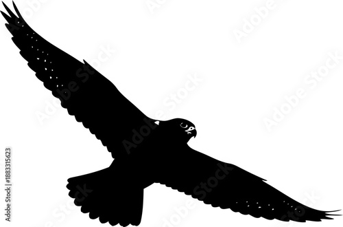 Soaring falcon silhouette with wings spread vector illustration