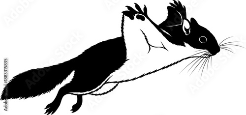 Two-tone flying squirrel graphic leaping side view vector art