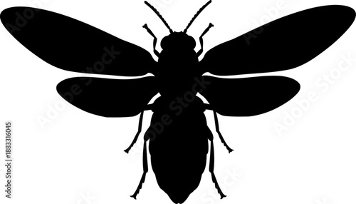Wasp or hornet silhouette top view wings spread vector graphic
