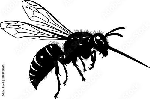 Wasp or hornet silhouette side view stinger visible vector graphic