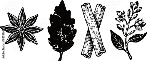 Hand drawn black and white illustrations of star anise, bay leaf, cinnamon sticks, and pepper plant branch