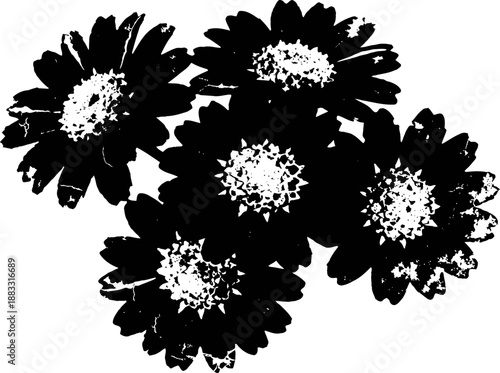 Black and white silhouette of five blooming flowers with visible petals and central details