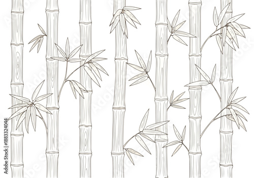 Bamboo Forest Vector Illustration A Serene Asian-Inspired Design