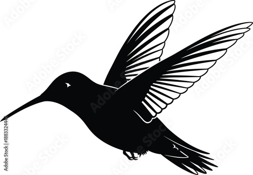Hummingbird silhouette flying bird black vector illustration, wildlife nature art, minimal design, elegant wings motion, isolated icon, modern graphic composition