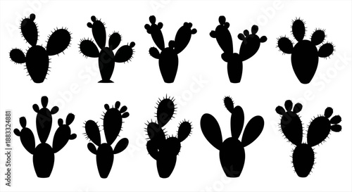 Collection of Cactus Silhouettes on White Background, Tropical Plants