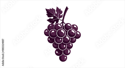 Bunch of ripe dark purple grapes with a leaf on a white background