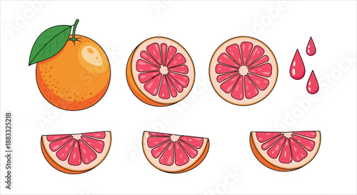 Grapefruit slices and drops illustration for healthy lifestyle and food