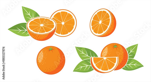 Fresh Orange Slices and Whole Oranges with Green Leaves
